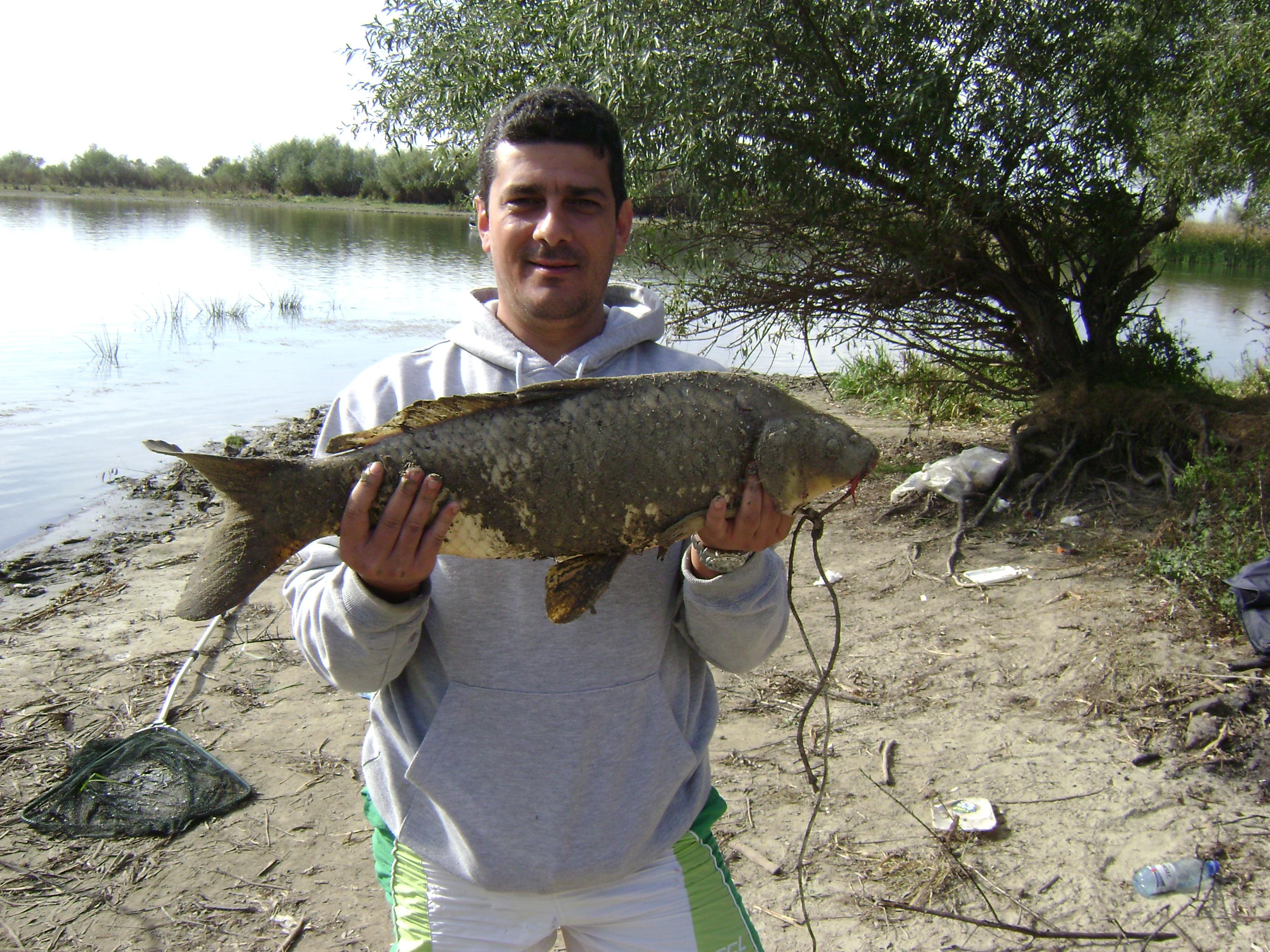 delta octombrie 2012 - delta octombrie 2012 046.JPG